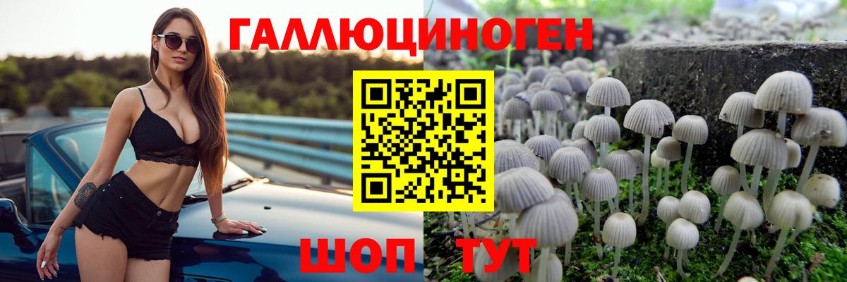 Галлюциногенные грибы Magic Shrooms Кропоткин