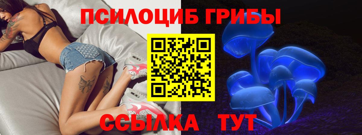 закладки  Псилоцибиновые грибы Psilocybe  Вход с VPN  Кропоткин 